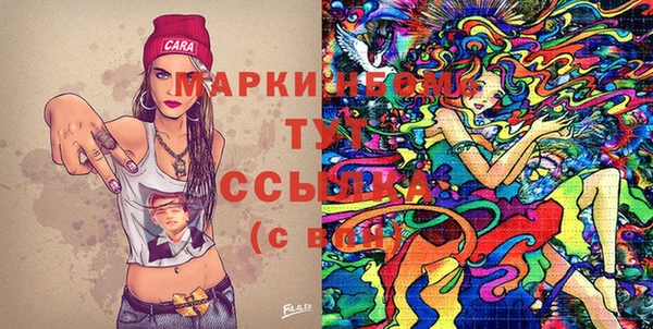 шишки Богородицк
