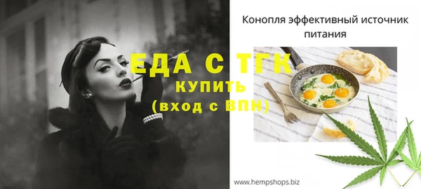 шишки Богородицк