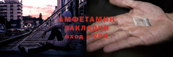 шишки Богородицк