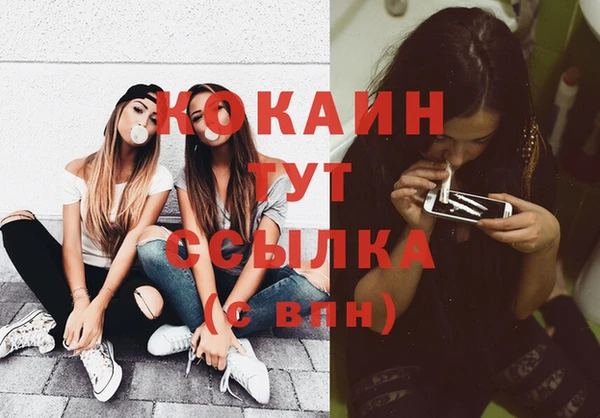 соль ск Богданович