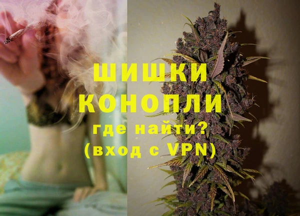 шишки Богородицк