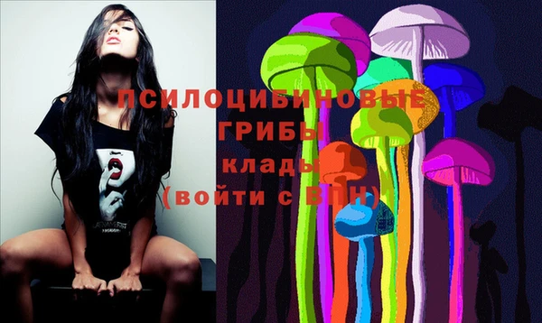 шишки Богородицк