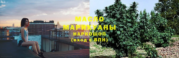 шишки Богородицк