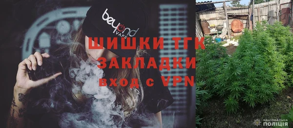 шишки Богородицк