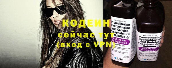 шишки Богородицк